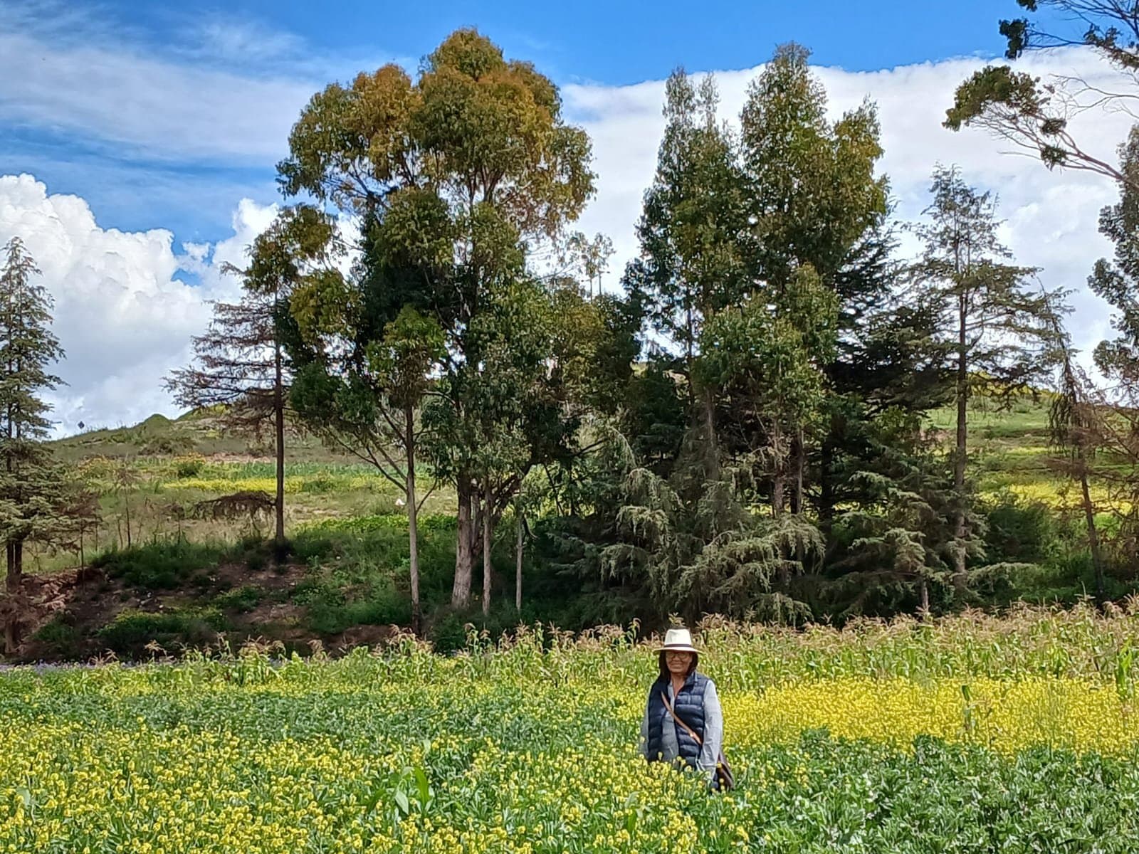 Terreno en Venta en Molino Huaycco - 4 Hectáreas en el Valle Sagrado de los Incas Cusco imagen 2