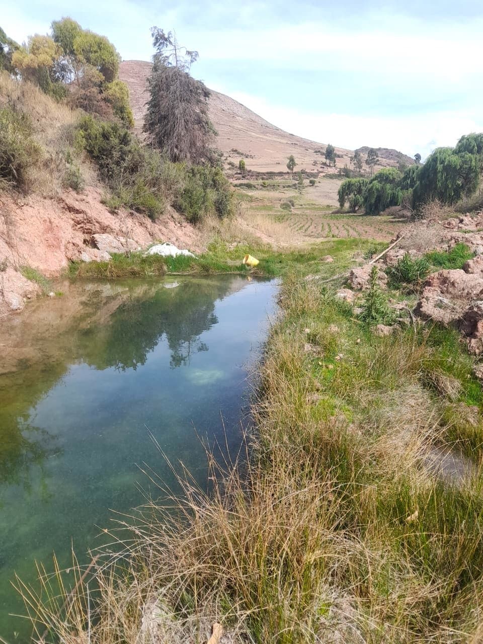Terreno en Venta en Molino Huaycco - 4 Hectáreas en el Valle Sagrado de los Incas Cusco imagen 3
