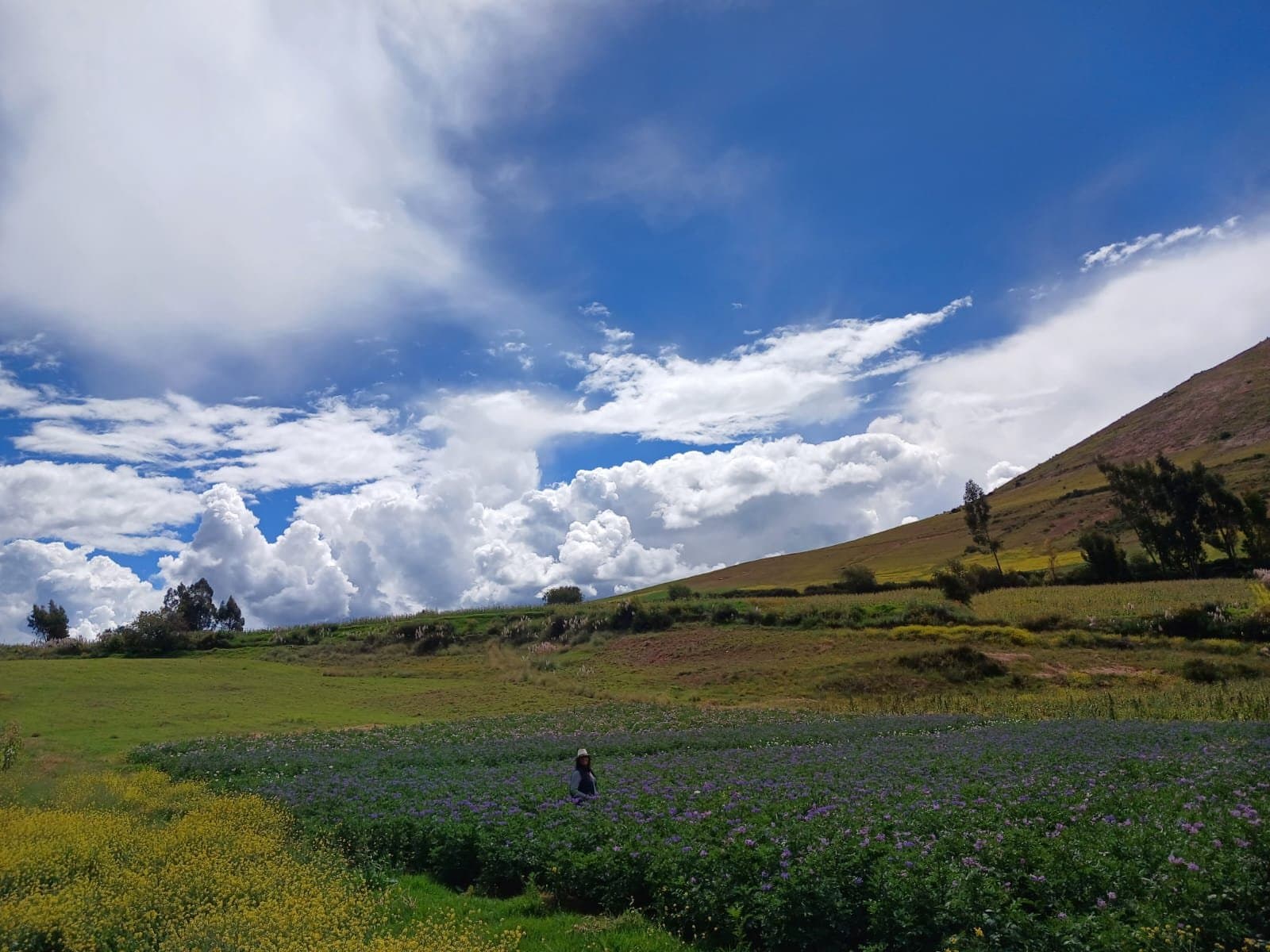 Terreno en Venta en Molino Huaycco - 4 Hectáreas en el Valle Sagrado de los Incas Cusco